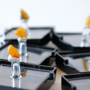 May include: Close-up of amber crystals displayed in small black square boxes with clear lids. The amber crystals are mounted on clear plastic stands.
