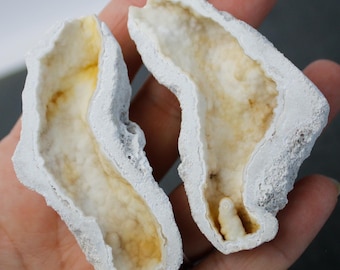 May include: Two white geode halves with a rough exterior and a smooth, white interior with a yellow-brown crystal formation.