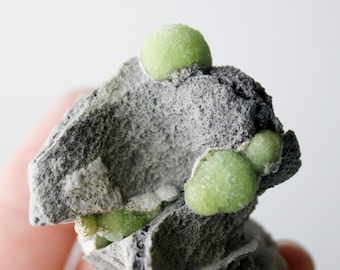 Wavellite from Arkansas