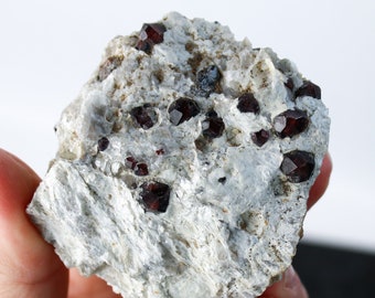 Garnet in Matrix from Brazil