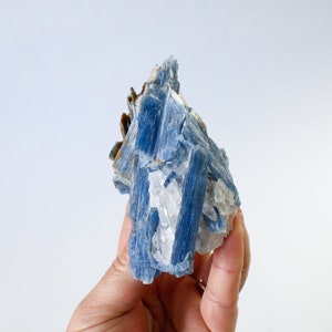 Blue Kyanite with Quartz