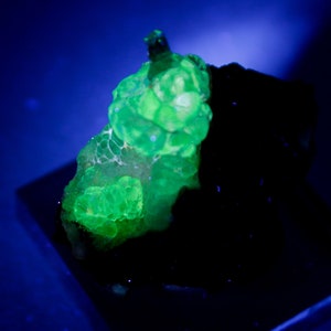 UV Hyalite Opal in Matrix