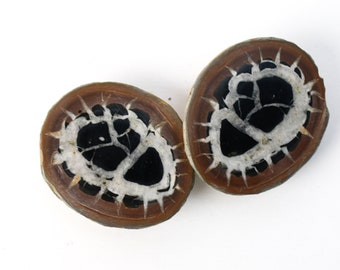 Septarian Nodule Matched Pair