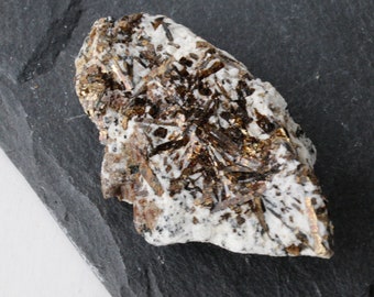 Astrophyllite Mineral Specimen