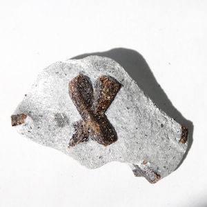 Staurolite Twin - X Shape