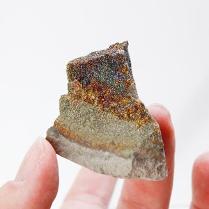 Rainbow Pyrite Septaria Concretion Piece from Russia