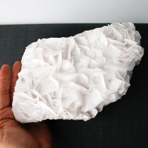 Angel Wing Calcite - Bladed Calcite - Rose Calcite
