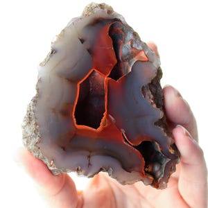 Agate Red Fox - Etsy