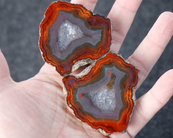 Agate Polished Nodule Pair