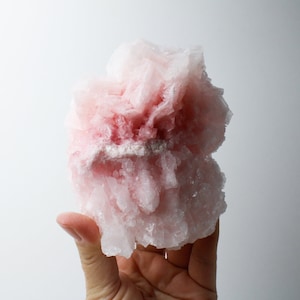 Pink Halit aus Kalifornien