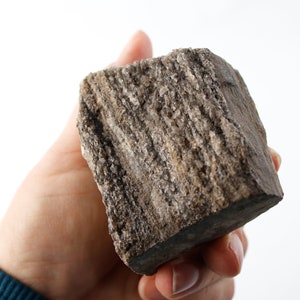 Petrified Wood with Smoky Quartz - Arizona