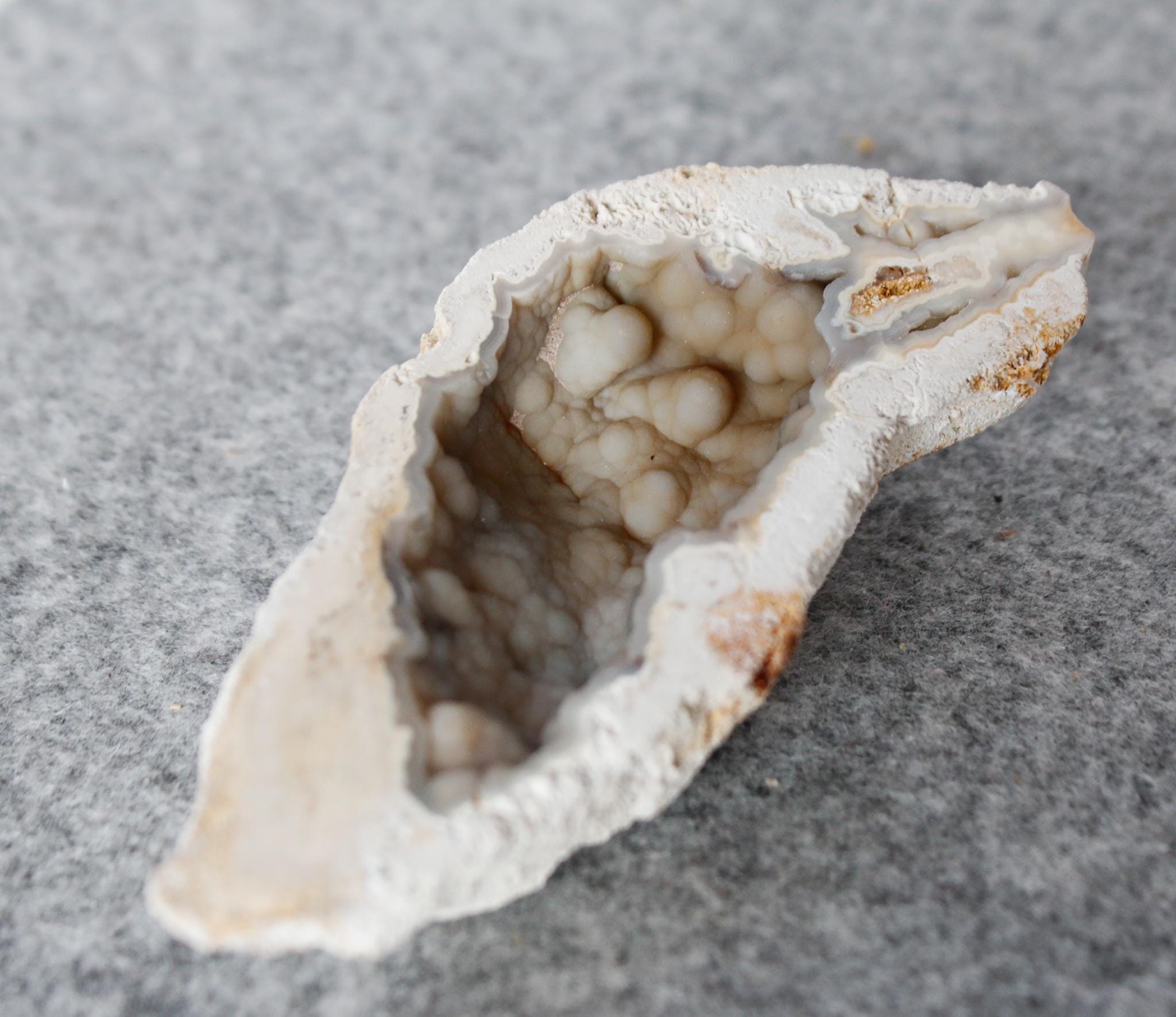 Coral geode - Etsy 日本