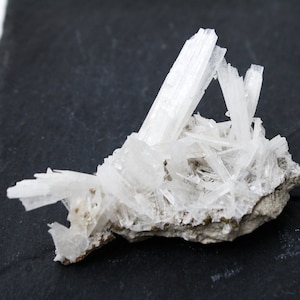 May include: A cluster of white selenite crystals on a gray rock. The crystals are long and thin, and they are arranged in a random pattern.