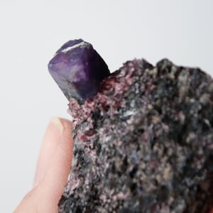 May include: A close-up of a raw mineral specimen featuring a deep purple crystal emerging from a dark, textured matrix. The crystal has a geometric shape, and the matrix has a mix of dark gray, red, and pink hues. The background is plain white.