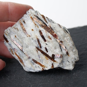 May include: A rough, white stone with embedded, elongated crystals in shades of brown and copper. The crystals are scattered throughout the stone, creating a textured appearance. The stone is held by a hand.