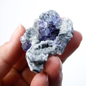 May include: A cluster of purple fluorite crystals embedded in a matrix of white calcite. The crystals are sharp and well-defined, with a glassy luster.