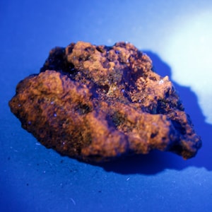 UV Rhizolith - Fluorescent Minerals