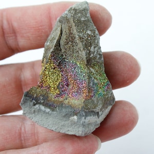 Rainbow Pyrite Septaria Concretion Piece from Russia