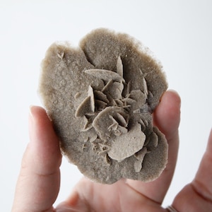Desert Rose Selenite - Moroccan Mineral Specimen