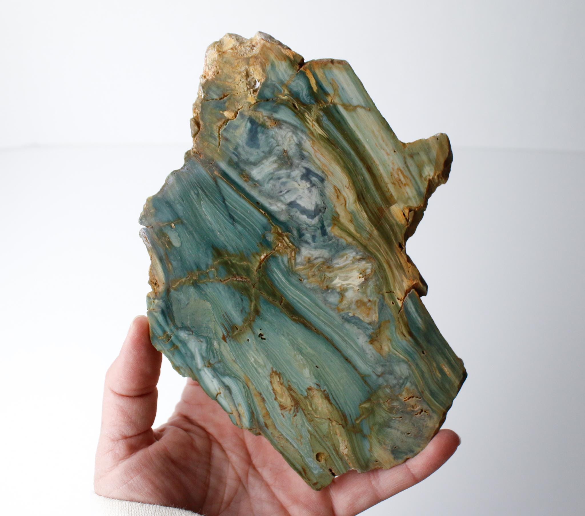 Oregon Petrified Bog Wood, Gary Green, Larsonite Jasper, Mcdermitt