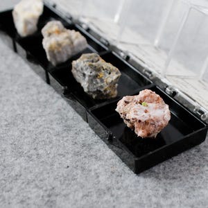 Old Stock Thumbnail Specimen Collection Set of 4 Perky Boxes - European Locales