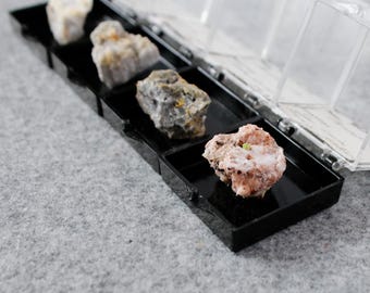 Old Stock Thumbnail Specimen Collection Set of 4 Perky Boxes - European Locales