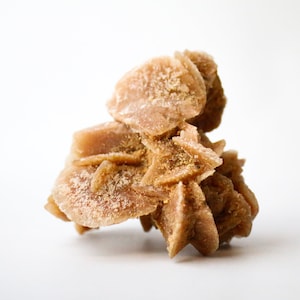 Desert Rose Selenite - Moroccan Mineral Specimen