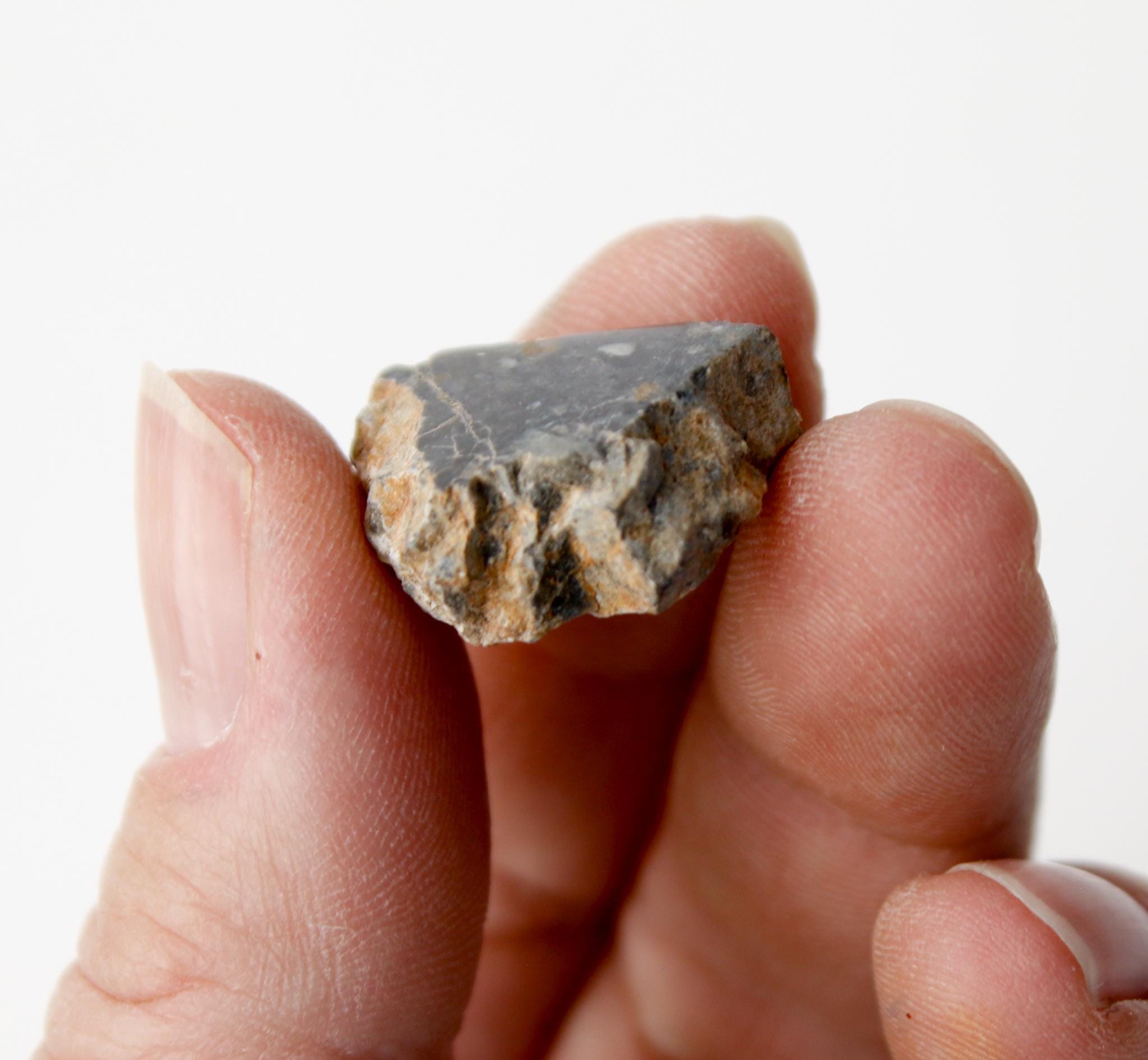 希少な月の隕石 - 月の破片化した角礫岩 - NWA 15373 - Etsy 日本