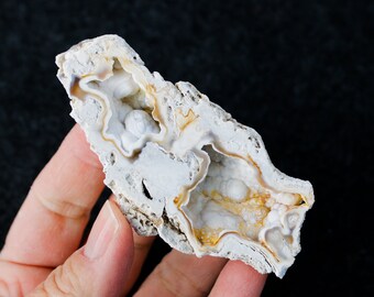 UV Agatized Fossilized Coral