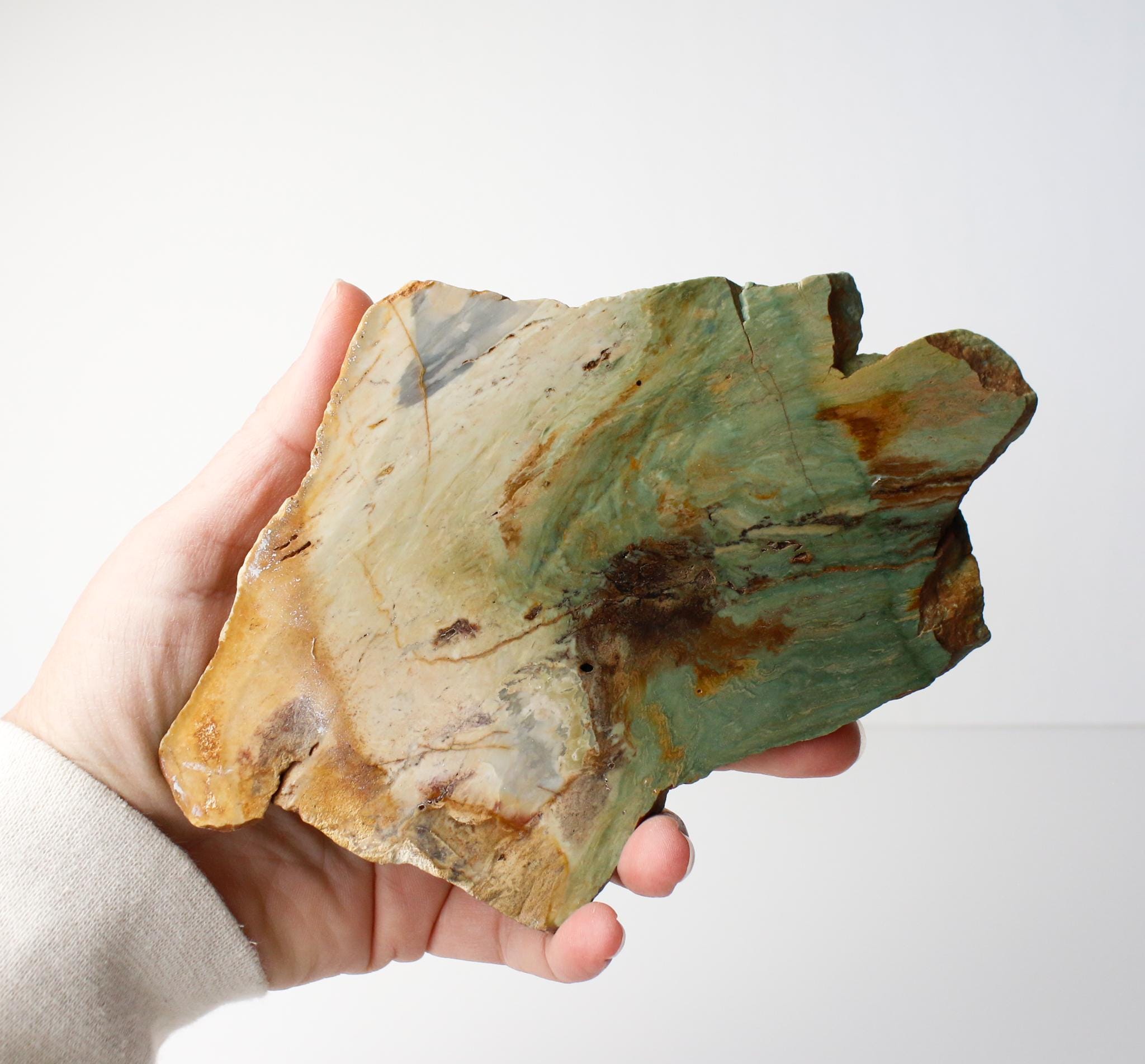 Oregon Petrified Bog Wood, Gary Green, Larsonite Jasper, Mcdermitt