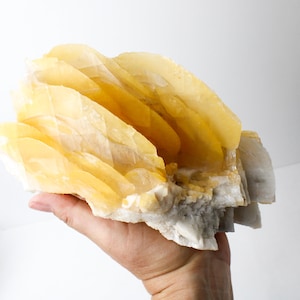 Yellow Potato Chip Calcite from Guangdong Province China