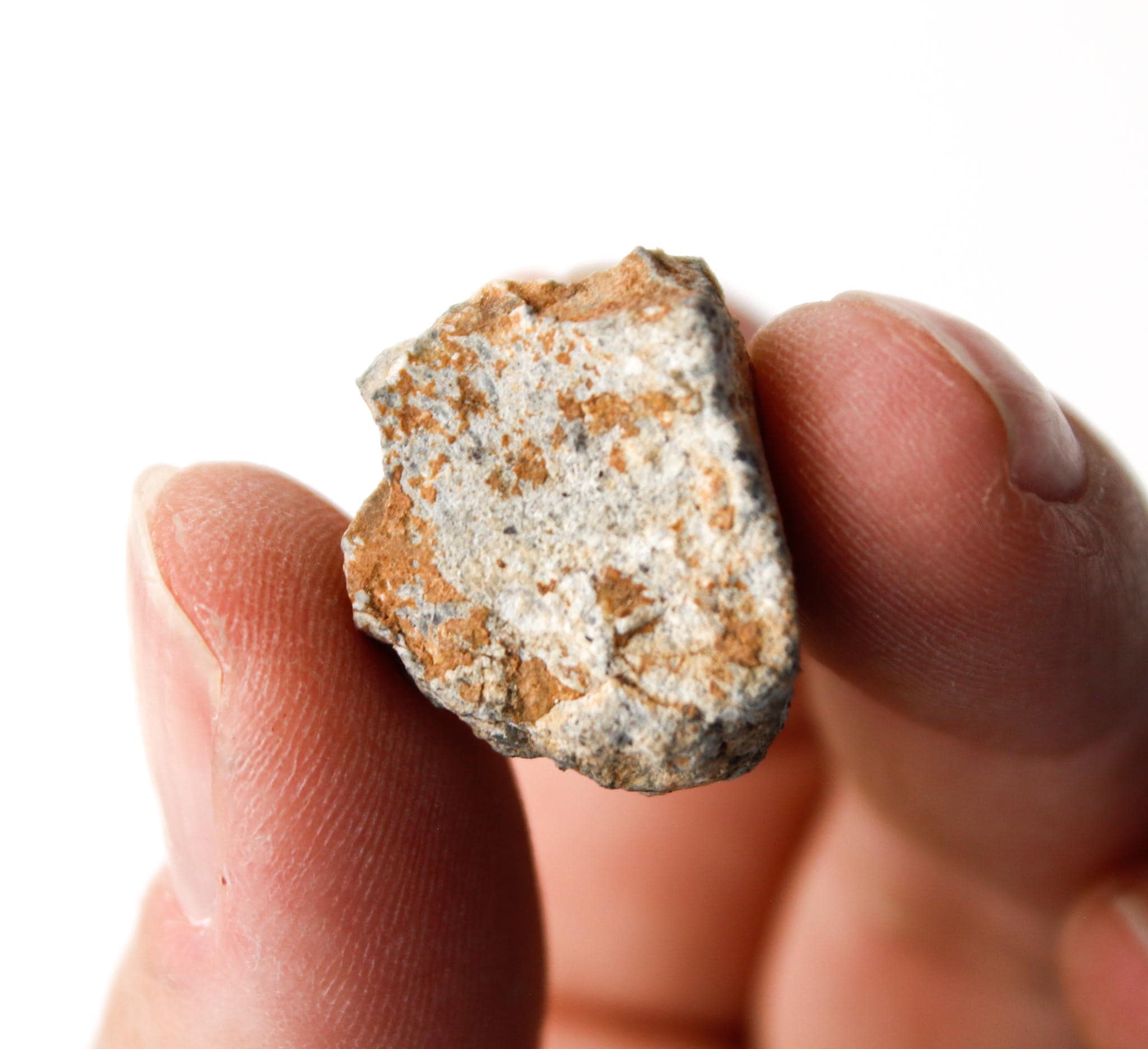 希少な月の隕石 - 月の破片化した角礫岩 - NWA 15373 - Etsy 日本