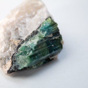 Tourmaline Crystals in Quartz from Canada - New Find