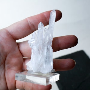 Faden Quartz Crystal