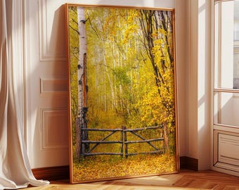 Aspen Tree Fall Photography Print: Colorado Autumn Wall Art