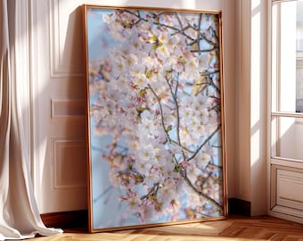 Sakura Tree Art Print, Japanese Pink Cherry Blossom Photography, Floral Wall Decor