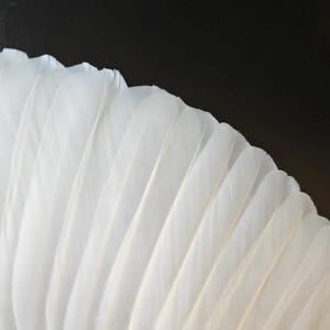 May include: A close-up shot of a collection of white feathers arranged in a fan shape. The feathers are soft and delicate, with a slight curve. The background is a solid black, creating a contrast that highlights the feathers.