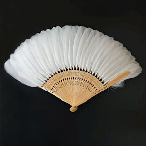 Peut inclure: Éventail en plumes blanches avec un cadre en bois brun clair. L'éventail est ouvert, montrant l'agencement des plumes blanches. Le cadre en bois a un design décoratif ajouré. L'éventail est posé sur un fond noir.