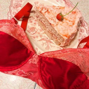 Strawberry Cake Bra with Pink Lace Detail image 8