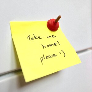 Op de afbeelding: Een gele plakbriefje met de handgeschreven boodschap "Take me home! please :)" is met een rode en bruine magneet aan een wit oppervlak bevestigd. De notitie staat iets schuin.