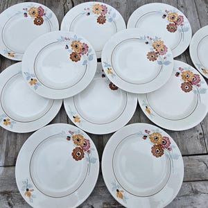 Striking Set Of Antique Vintage French Floral &quot; St Amand &quot; Plates