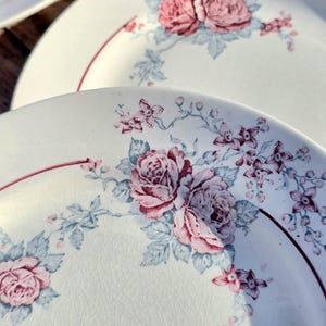 Pretty Set Of Antique Vintage French Floral St Amand &quot; Thalie &quot; Plates