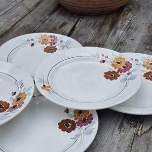 Striking Set Of Antique Vintage French Floral &quot; St Amand &quot; Plates