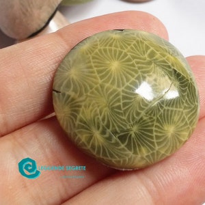 Polymer Clay Tutorial Effect Faux Petoskey Stone