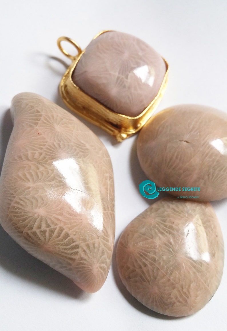 Polymer Clay Tutorial Effect Faux Petoskey Stone Etsy