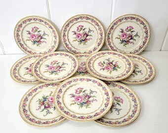 Rosenthal Bavaria Vienna Floral 9 1/2" Luncheon Plates 11 Plates