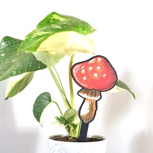 Puede incluir: Una planta en maceta con hojas abigarradas verdes y blancas, con una estaca decorativa de planta de hongo rojo. La estaca de hongo tiene manchas blancas y un tallo marrón. La planta está en una maceta blanca.