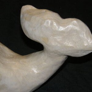 Carved White Whale image 4