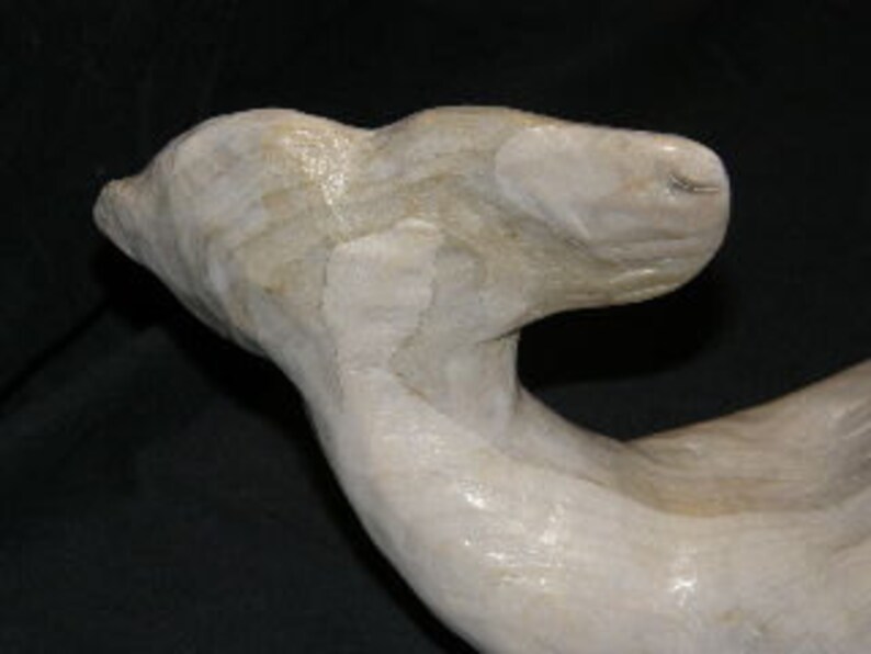 Carved White Whale image 3