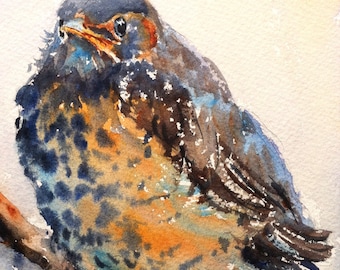 Baby Robin print of my Original Water Color